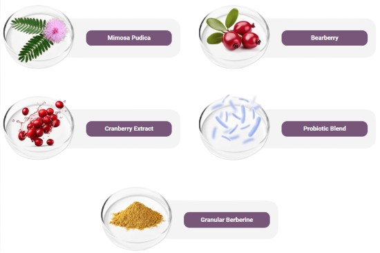 FemiPro Ingredients