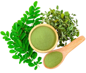 Moringa Magic Leaf